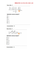 2024_ALES2.pdf